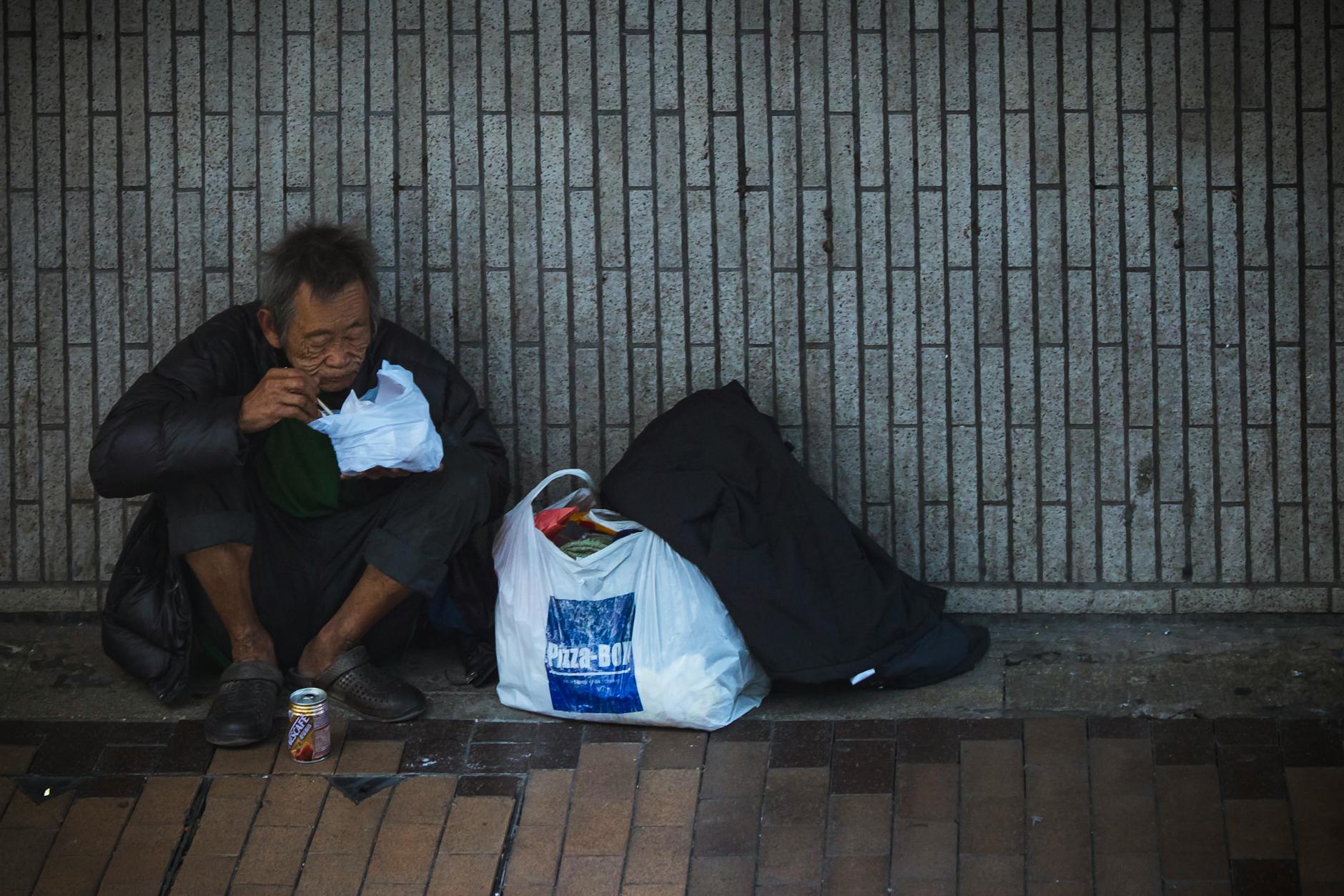 Every Year, 100K Animals Become Homeless in Russia: A Growing Crisis