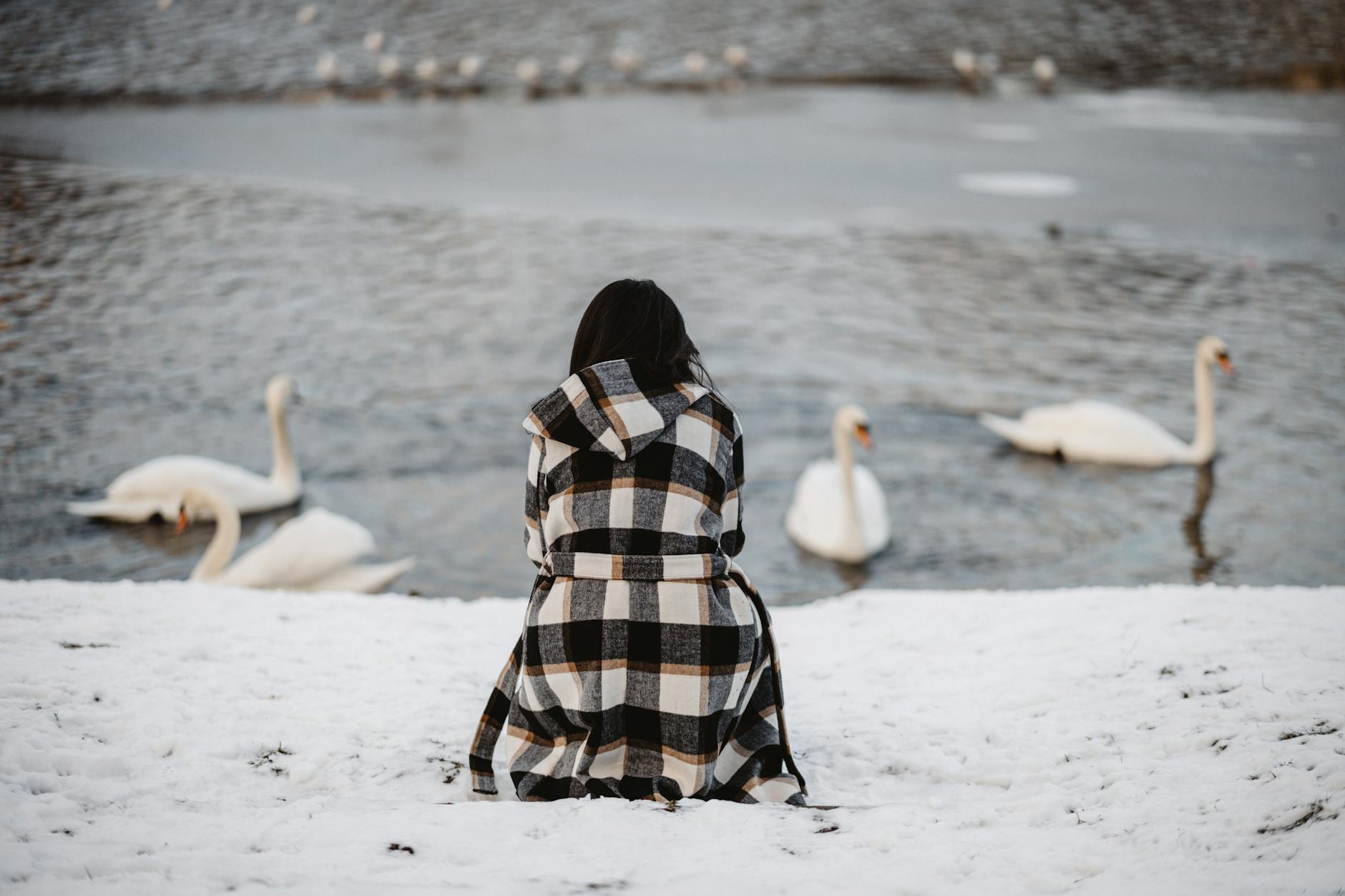 Russia Issues Warning Over Tire Swan Sculptures - News