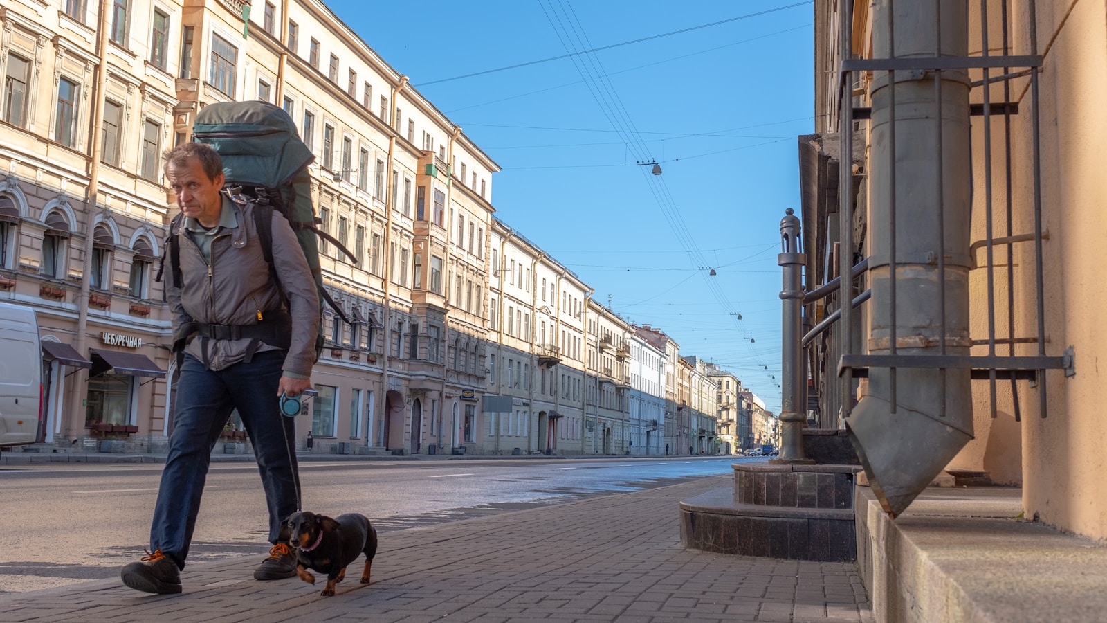 One in Six Russians Travel with Their Pets: Survey Insights - Lifestyle