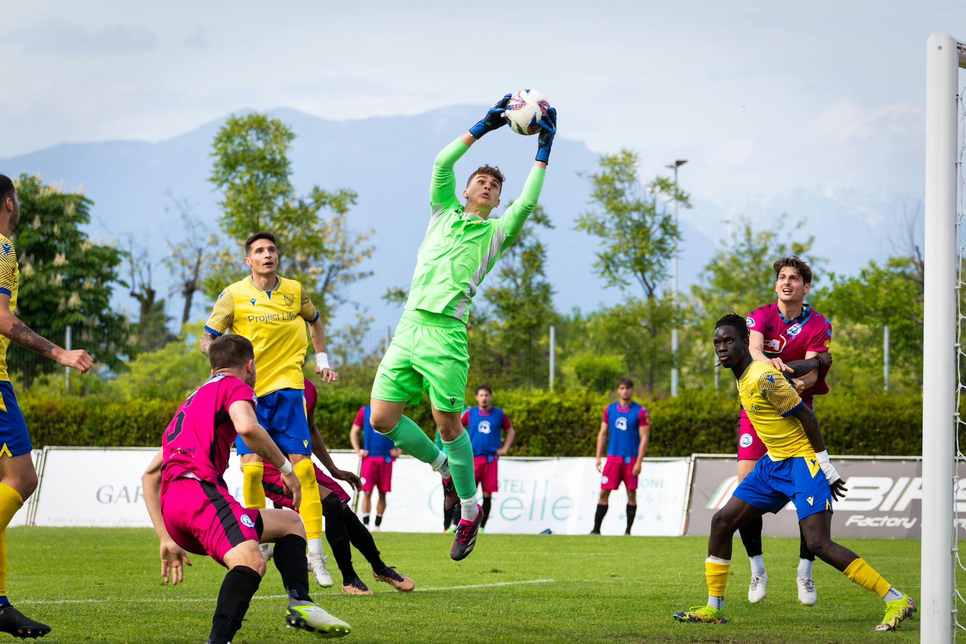 Seagulls Come to the Rescue of Football Team's Goalkeeper - Sport