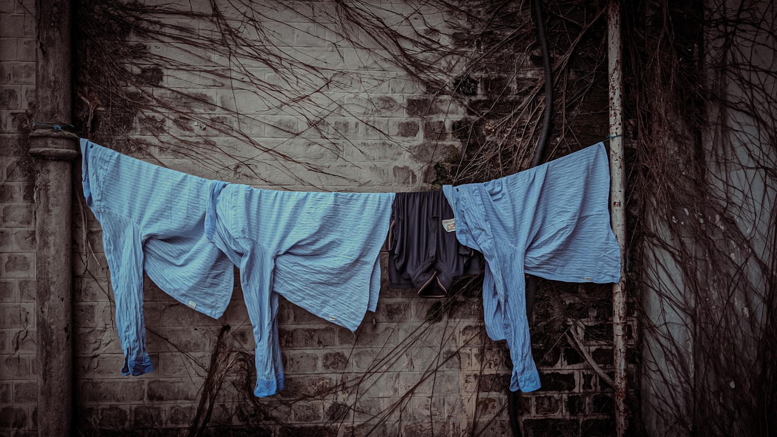Skims Launches Controversial Underwear with Faux Pubic Hair