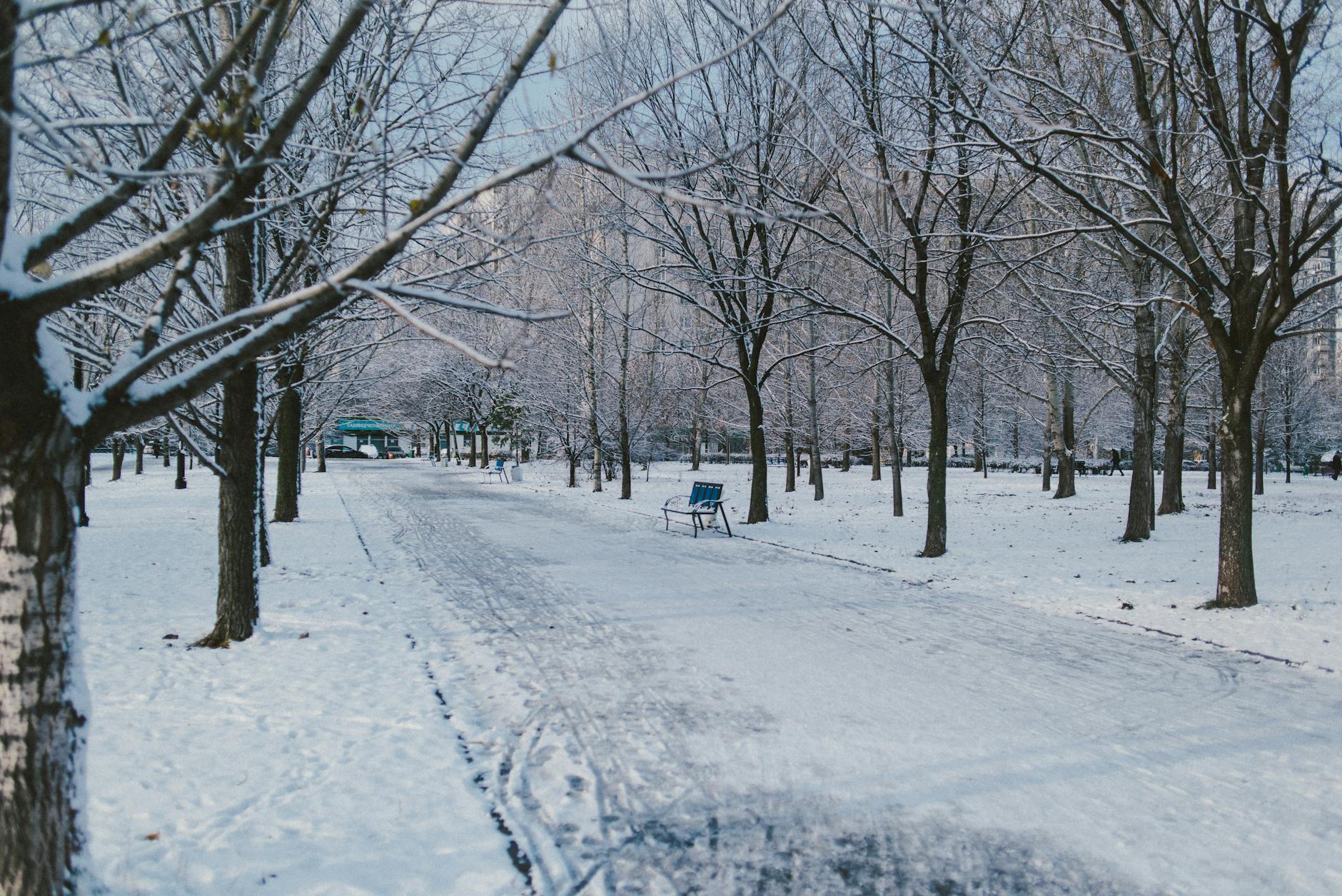 Snow Cover to Begin Forming in Moscow on November 13