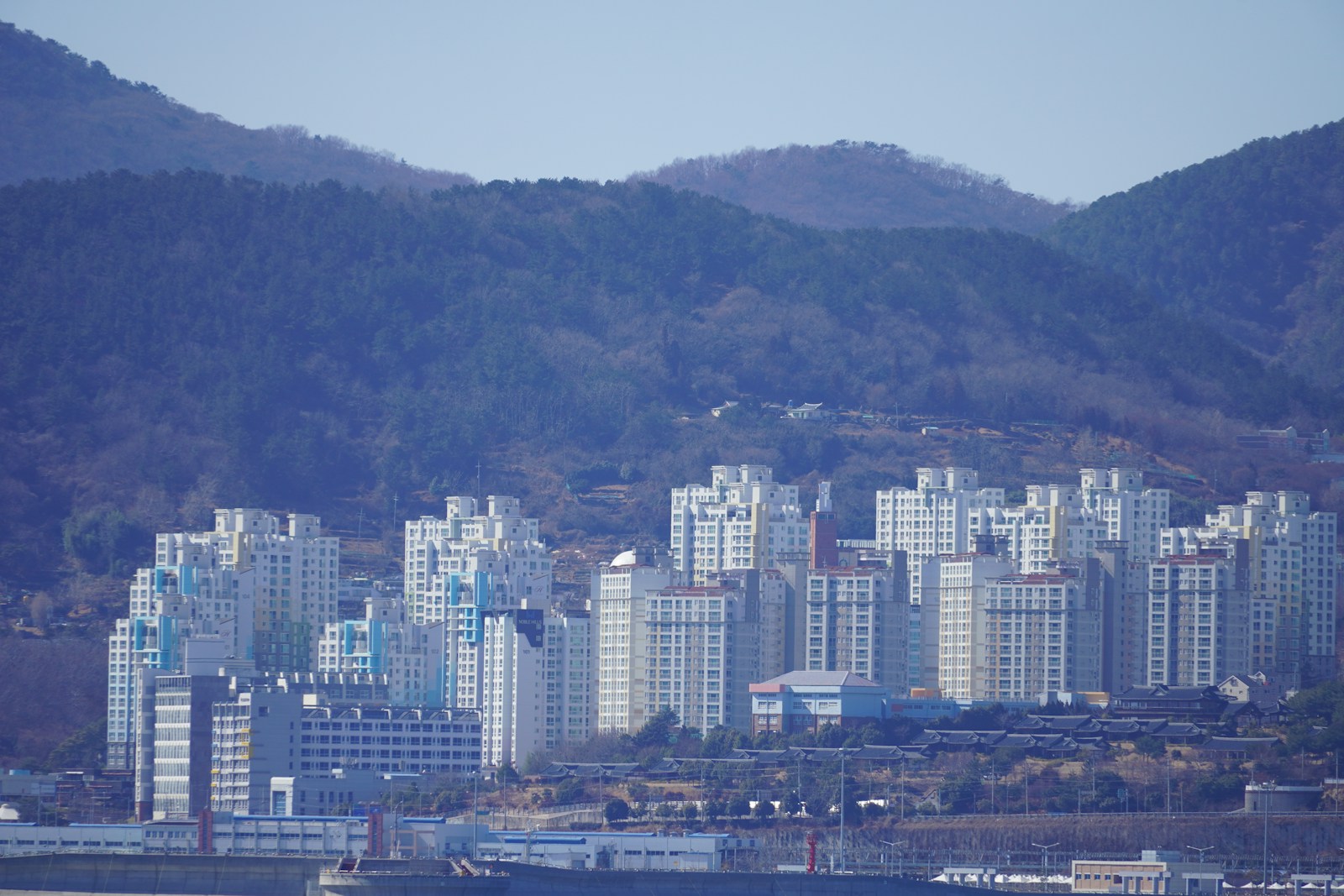 South Korea Sees Birth Rate Increase After 15 Years of Decline - News