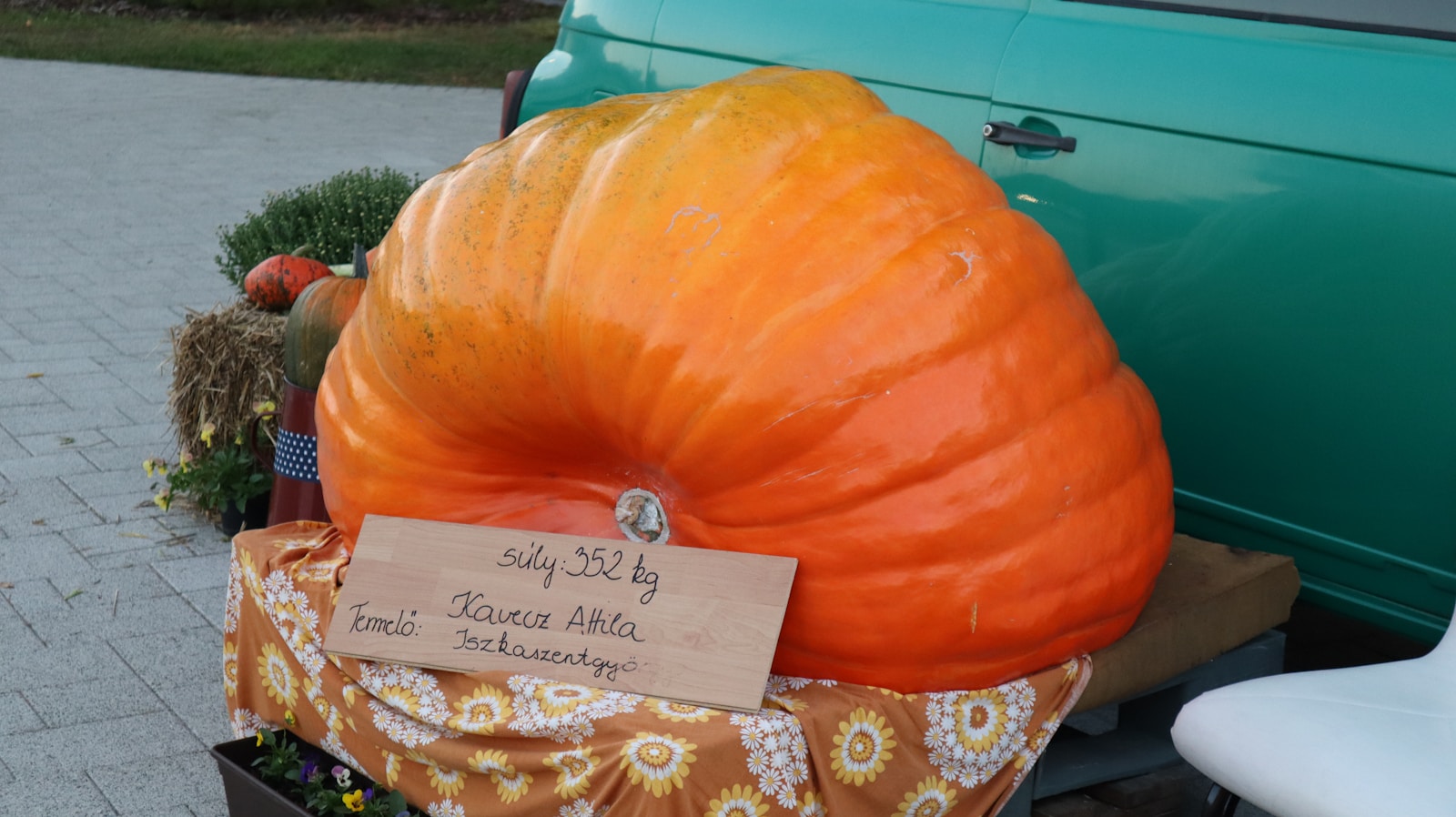 300 Special Pumpkins Stolen from Farmer in the USA