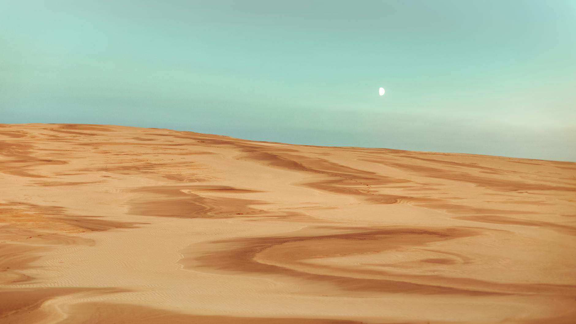 Steven Spielberg Calls Dune One of His All-Time Favorite Sci-Fi Films - Cinema