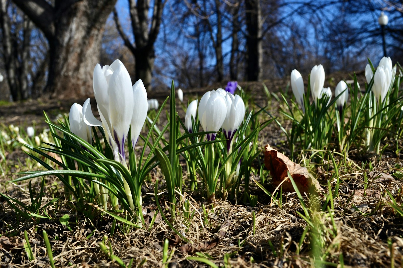 Spring Thaw: Snow in Moscow Set to Melt from April 5-10 - News