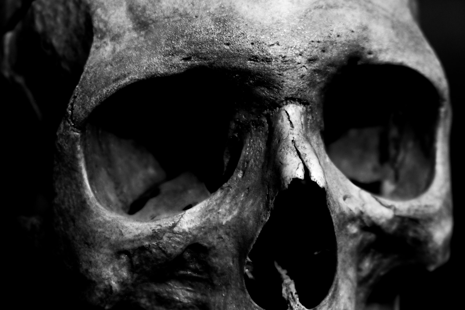 Explore 100 Horrors: Stanislav Zelvensky's New Book Release