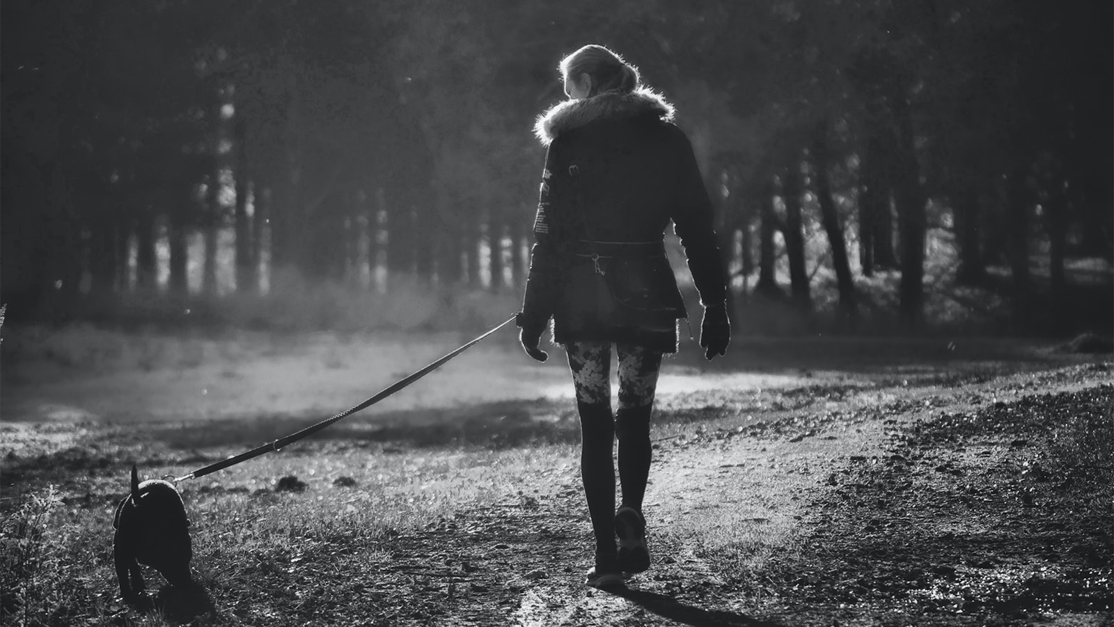 Stephen King's 'The Long Walk' Digital Release Set for October 21