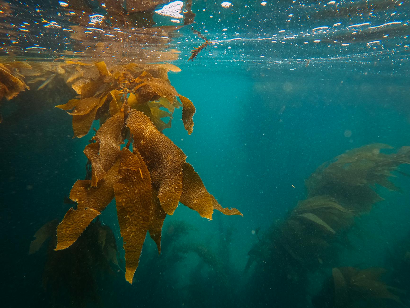 Stranger Things Boosts US Economy by $1.4 Billion