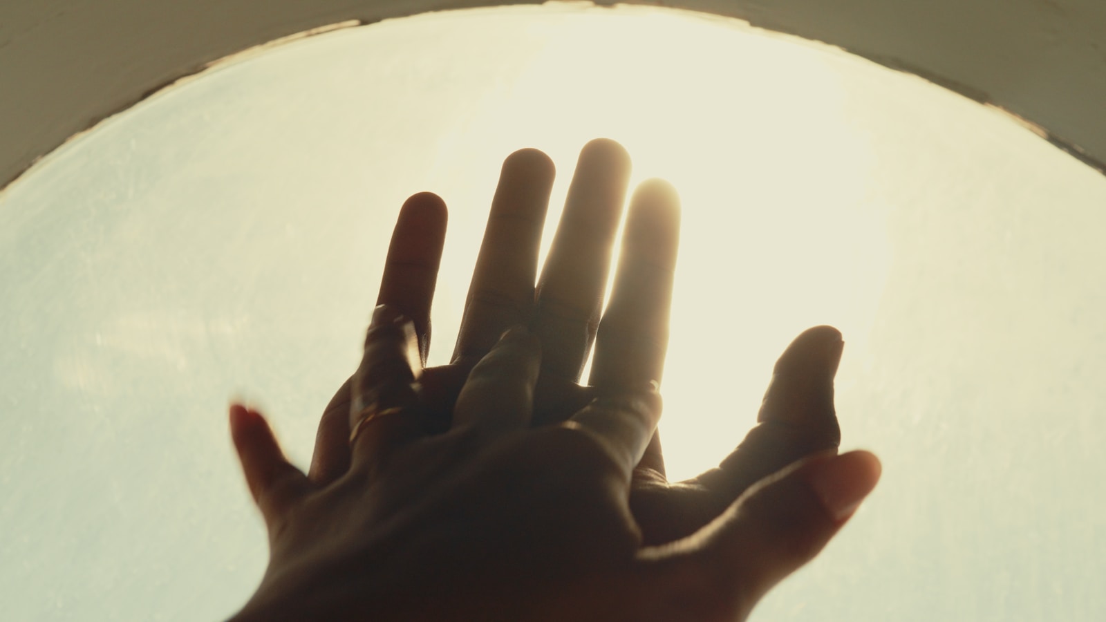 New Trailer Drops for 'Tender to Yourself' Adaptation - Cinema