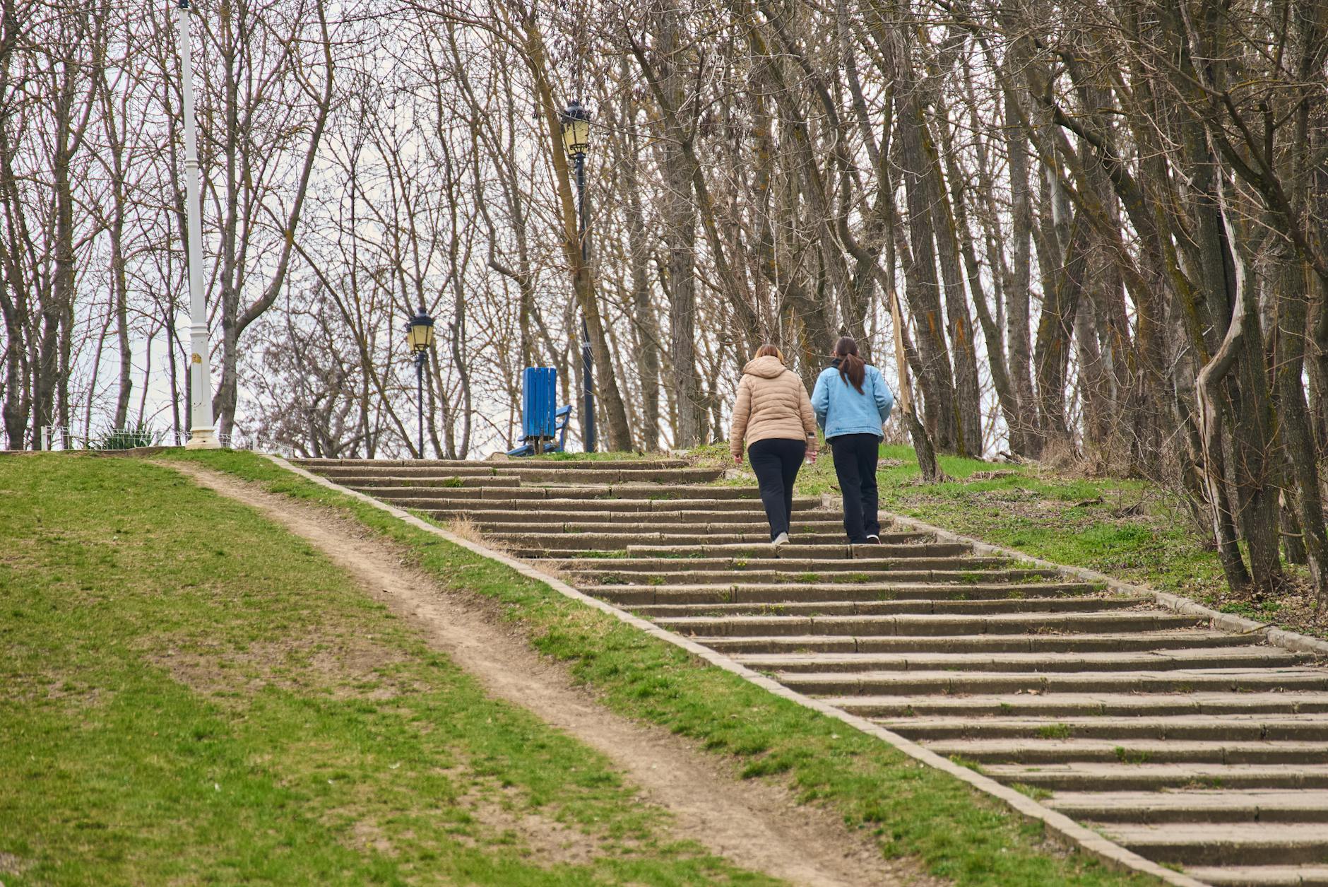 Discover Terrenkur: The Healing Path to Wellness - Lifestyle