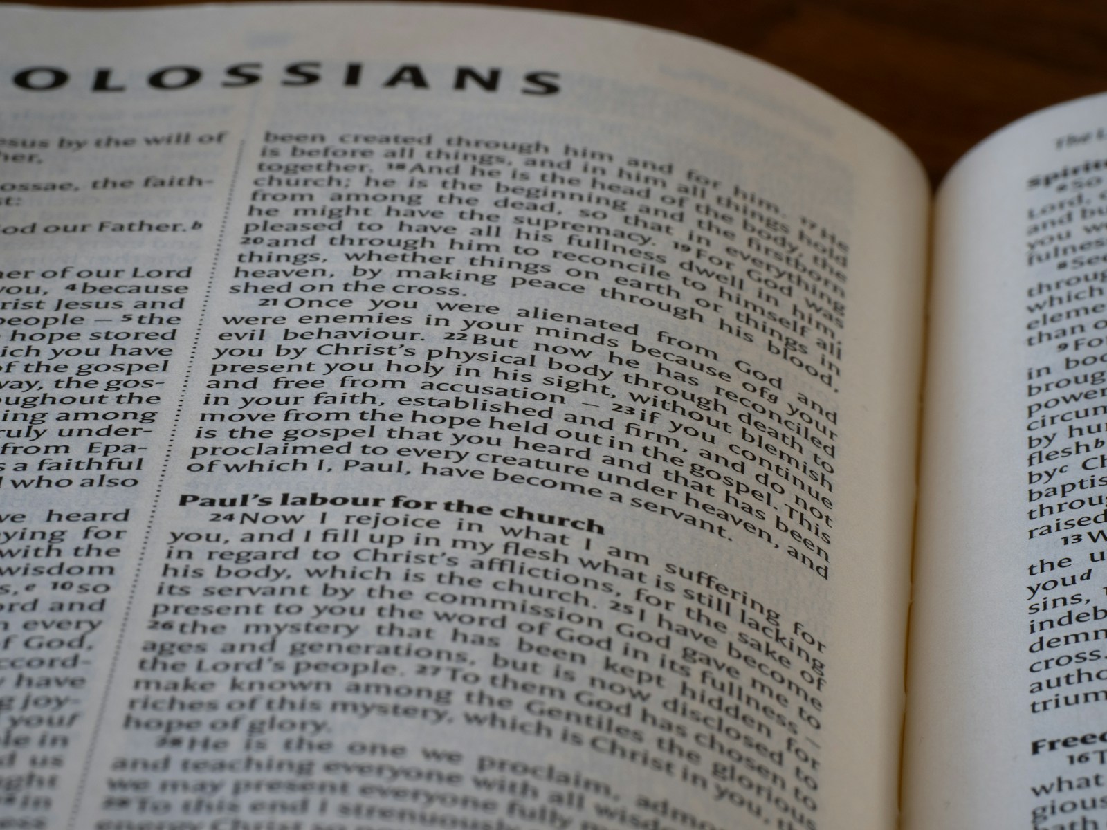 The Rise of 'Abuser': A New Term for Russian Dictionaries - News