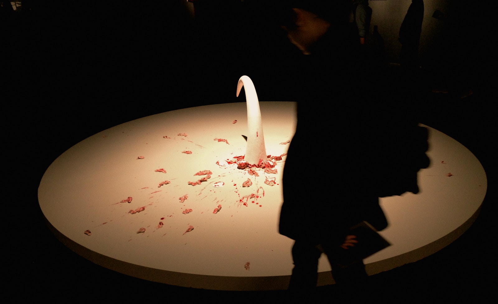 Theatrical Mystery: Unraveling a Murder at Barschevsky's Show