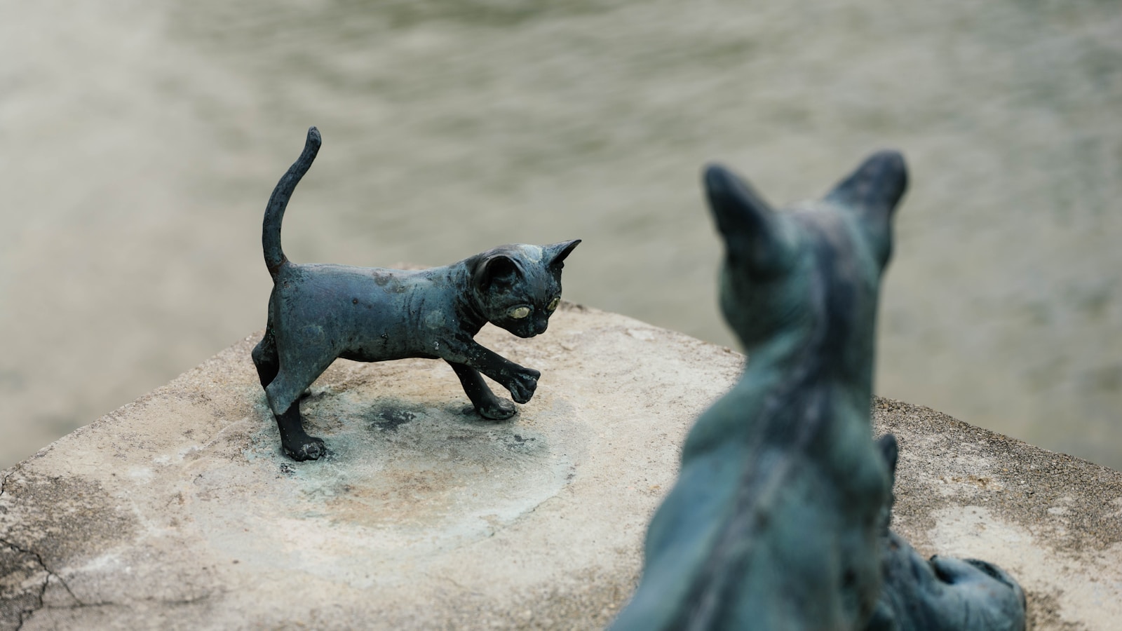Tiny Art: Novosibirsk Artist Crafts Miniature Cat and Dog Figures