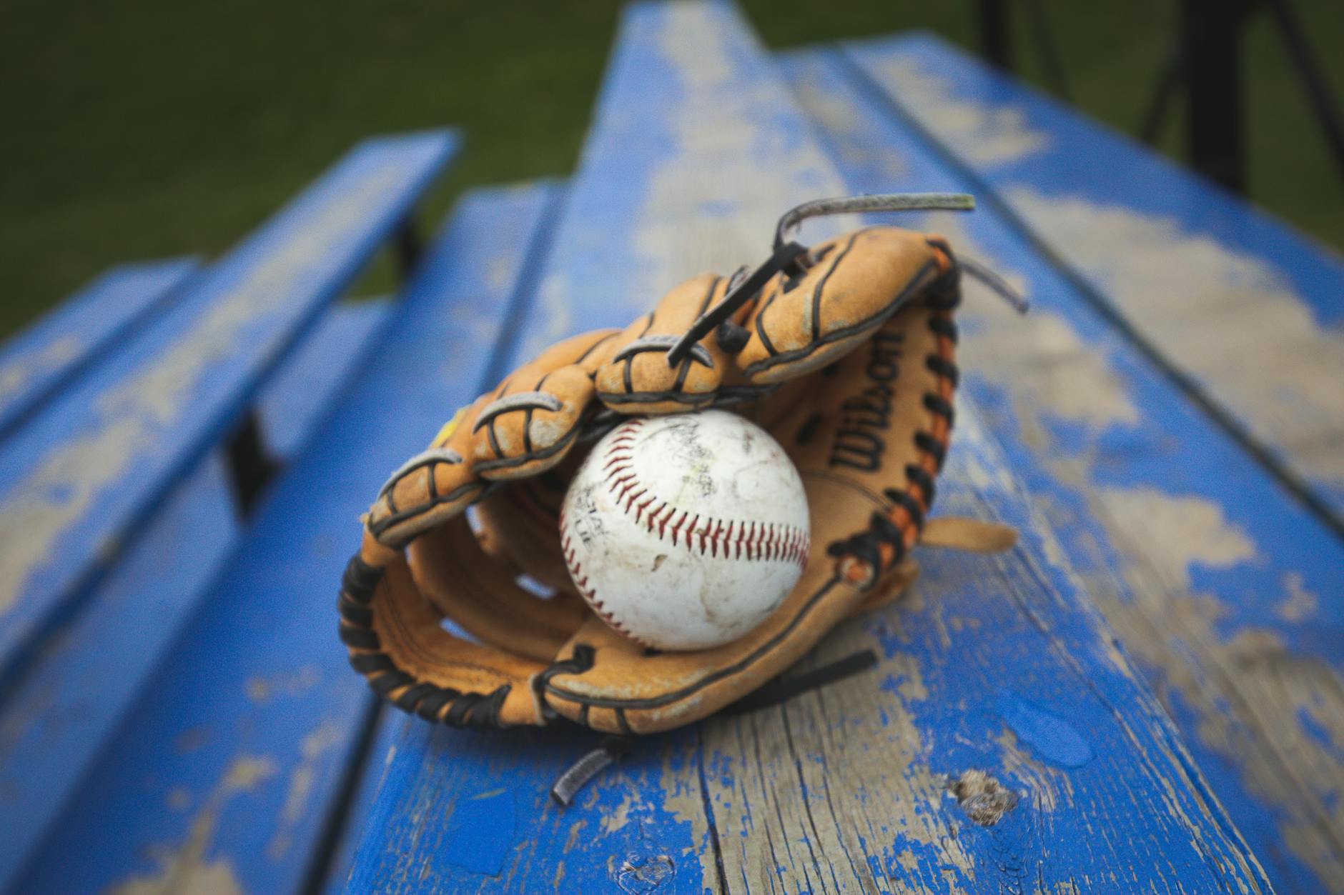 Tom Hanks Joins Marielle Heller's Baseball Film Project - Cinema