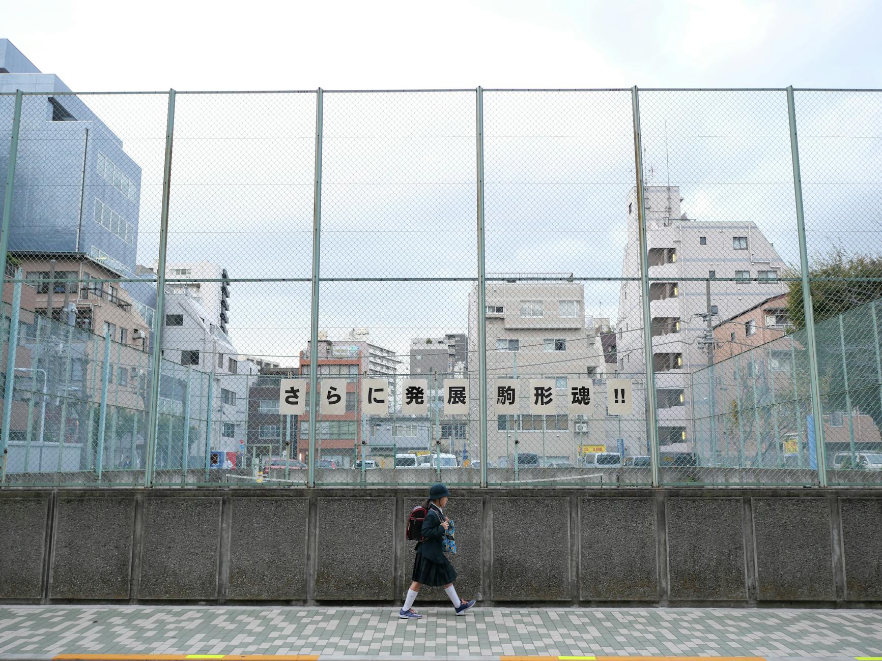 Tomodachi Life Takes Japan by Storm: A Dream Come True - Game