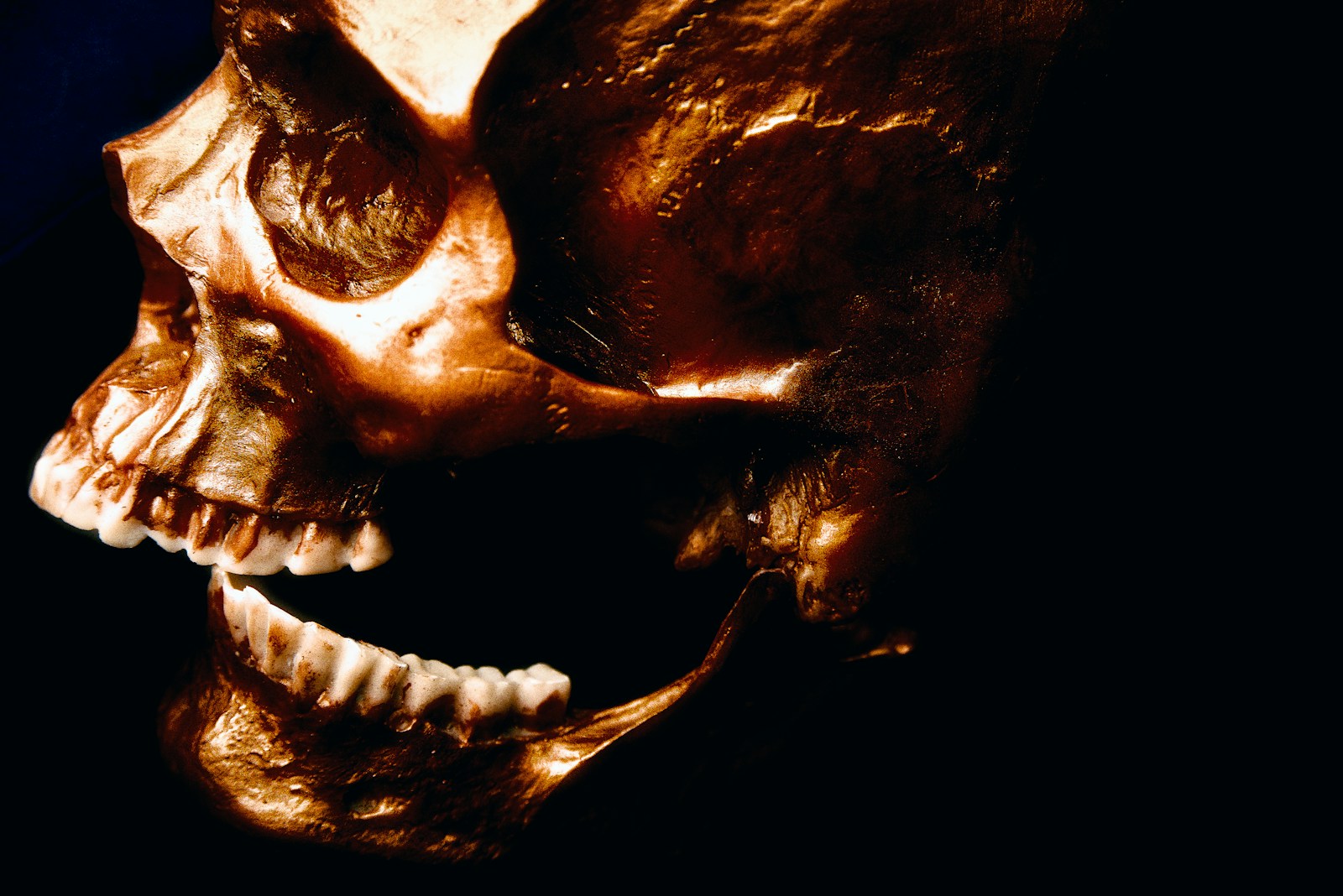 Top 10 Monster Horror Films of the 20th Century You Must Watch