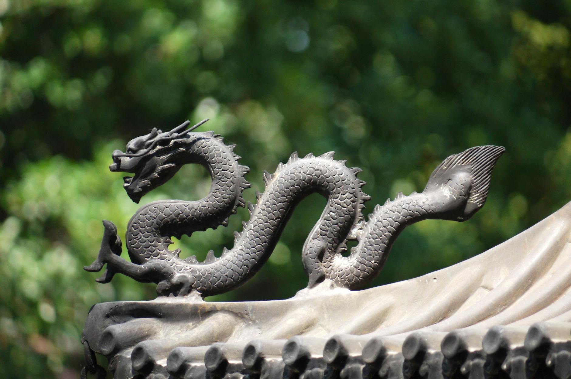 Top 5 Affordable Dragon Models on Amazon, Including Alduin! - Lifestyle