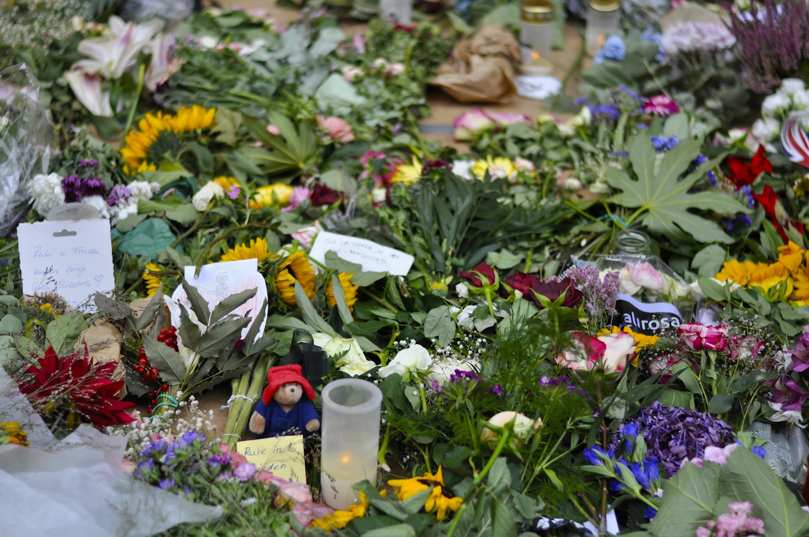 Tragic Incident in Germany: Man Dies After Flower Pot Falls - News
