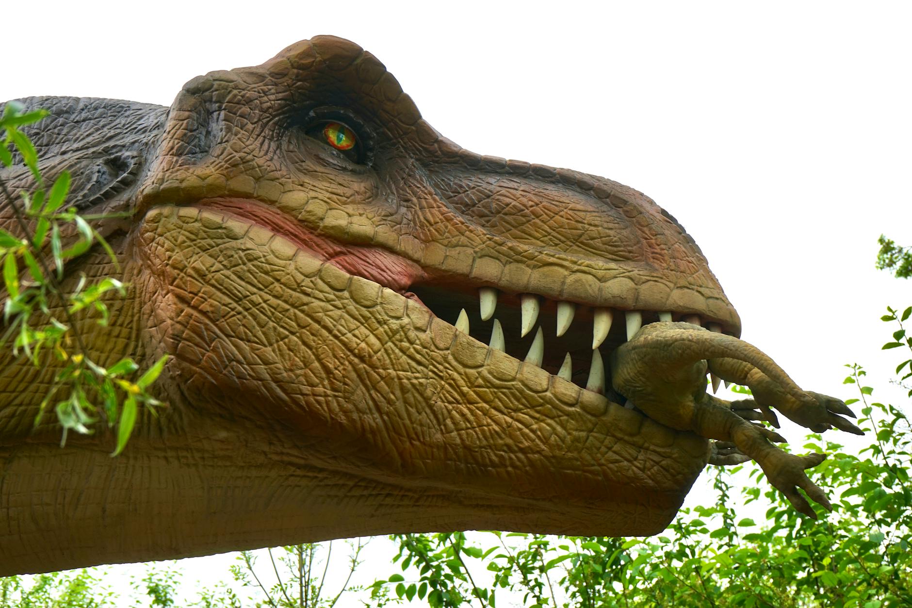 Tyrannosaurus Rex: Faster Than Usain Bolt? New Study Reveals - News