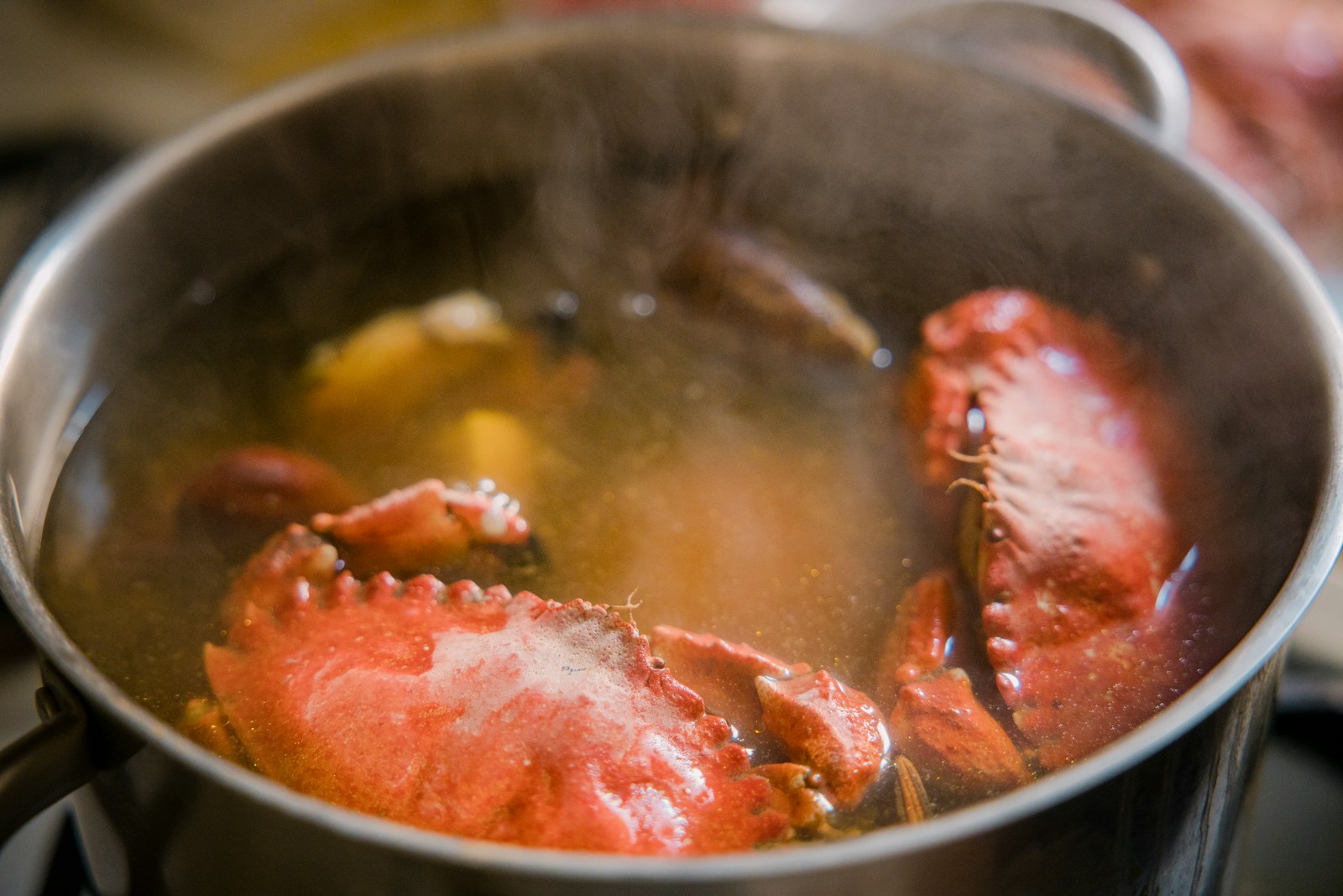 UK Bans Boiling Lobsters and Crabs Alive: A New Era for Animal Rights