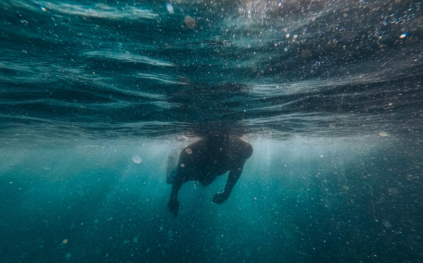 Understanding Empathy: The Key to Stronger Connections