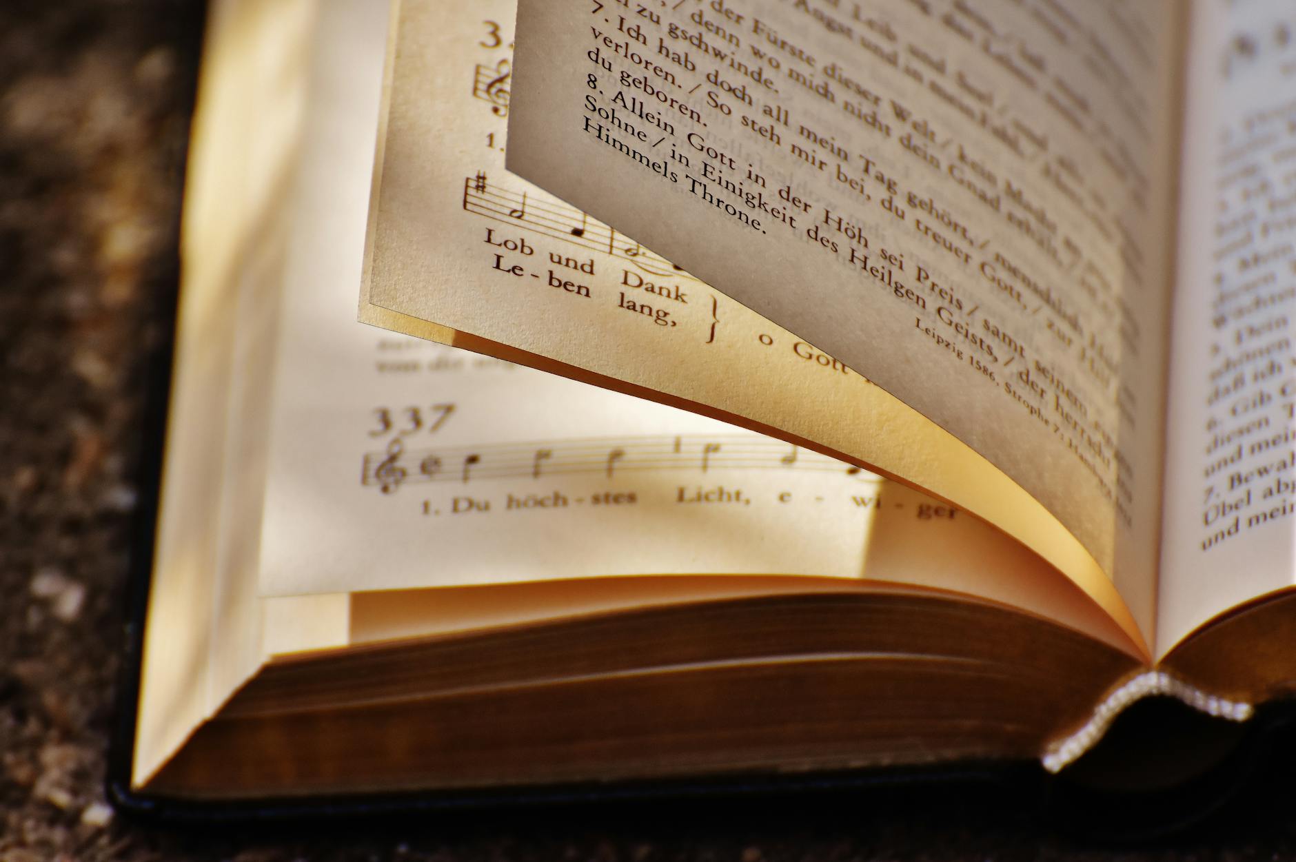 Understanding Iran: Must-Read Books, Films, and Music