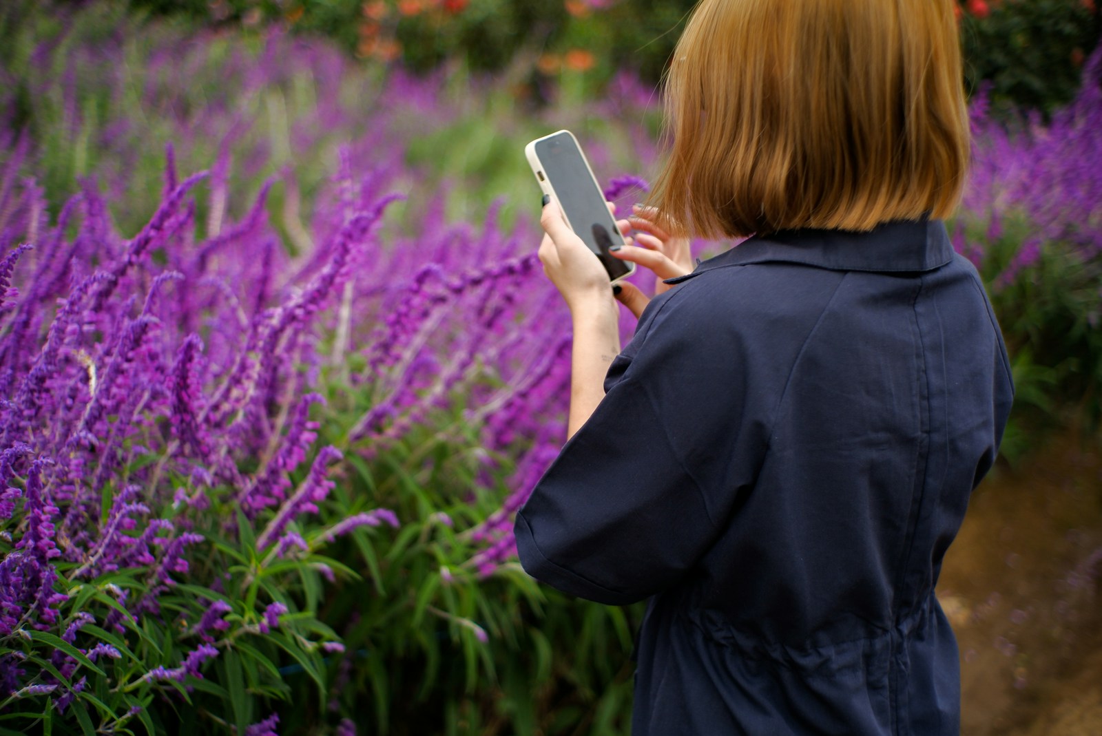 Unlocking Knowledge: The Power of Digital Gardens Explained