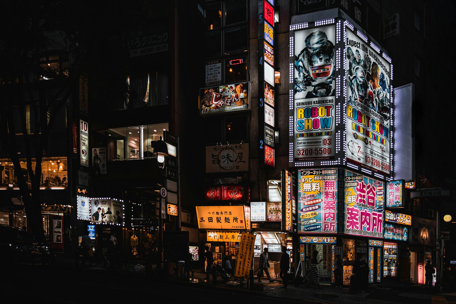 Urban Raccoons in the U.S. Show Signs of Domestication