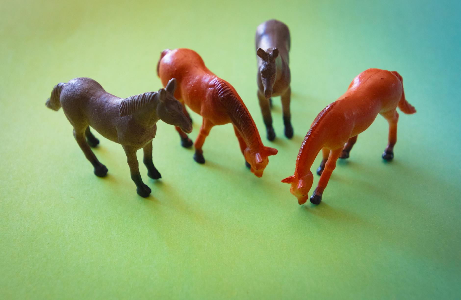 New Toy Collection Featuring Horses Launches at Vkusno i Tochka - Lifestyle