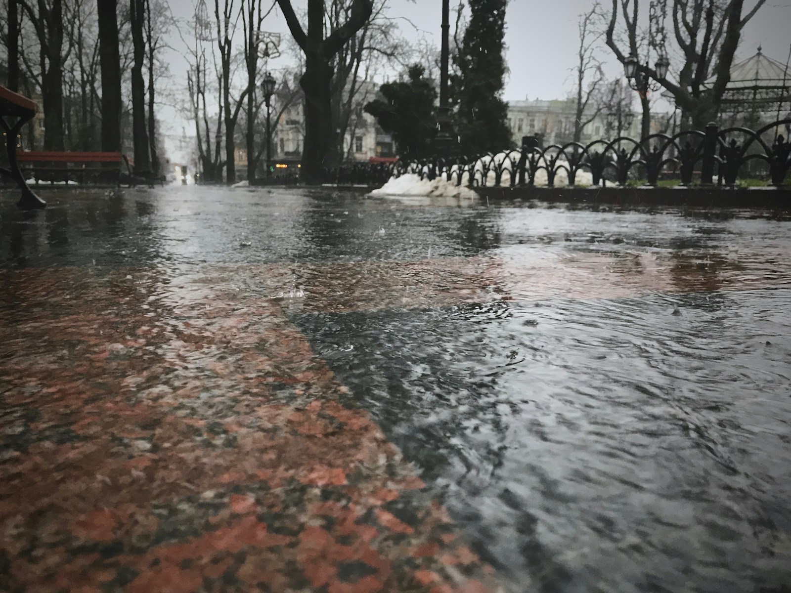 Vnukovo Ranks Among World's Wettest Spots with 25mm Rainfall - News