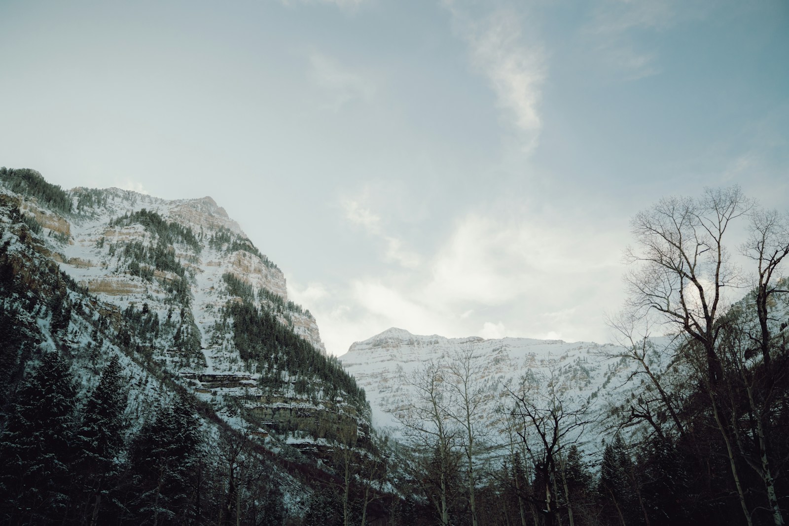 Volunteering at Sundance: My Indie Film Adventure - Cinema