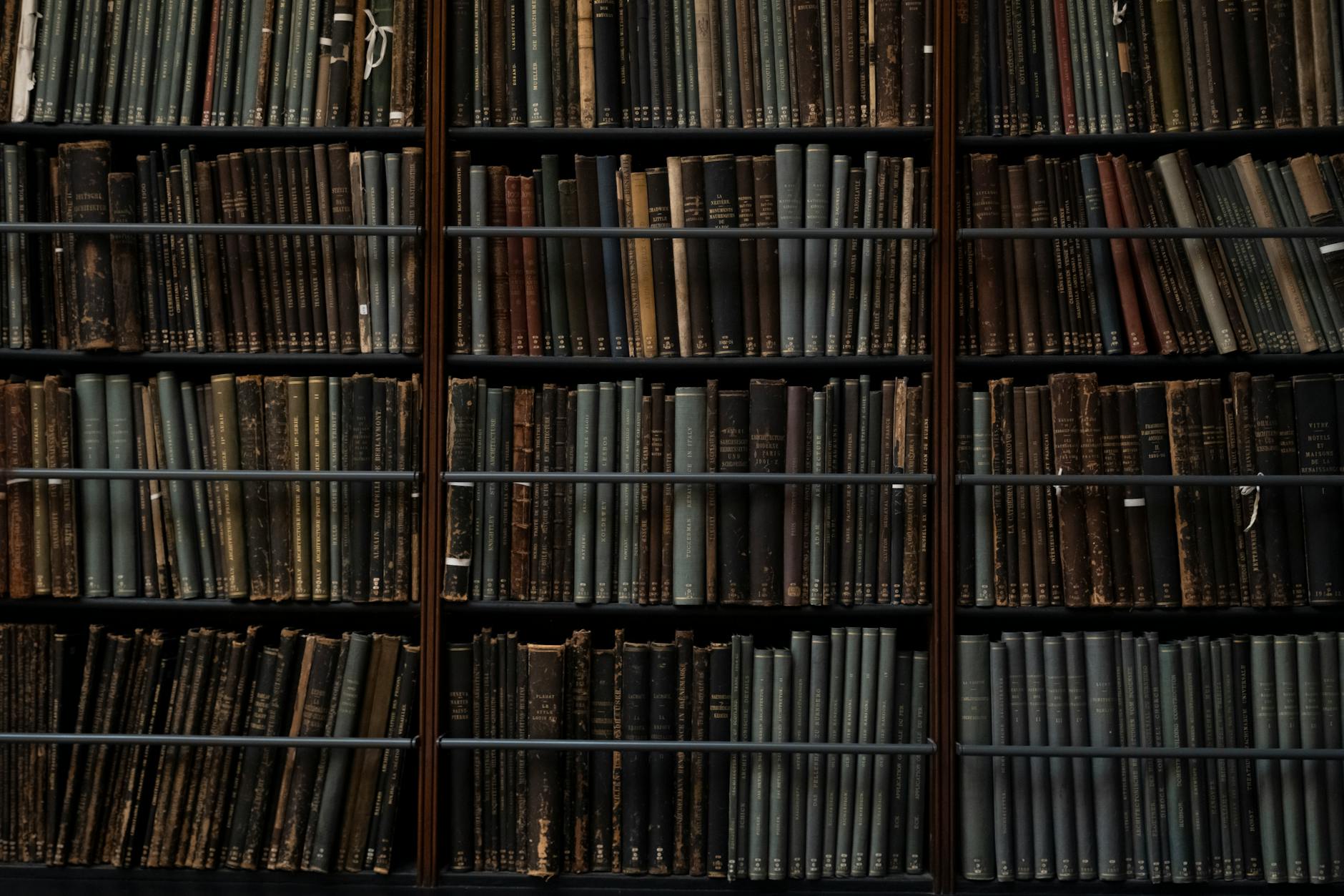 Wes Anderson's Archives to Shine at London Exhibition