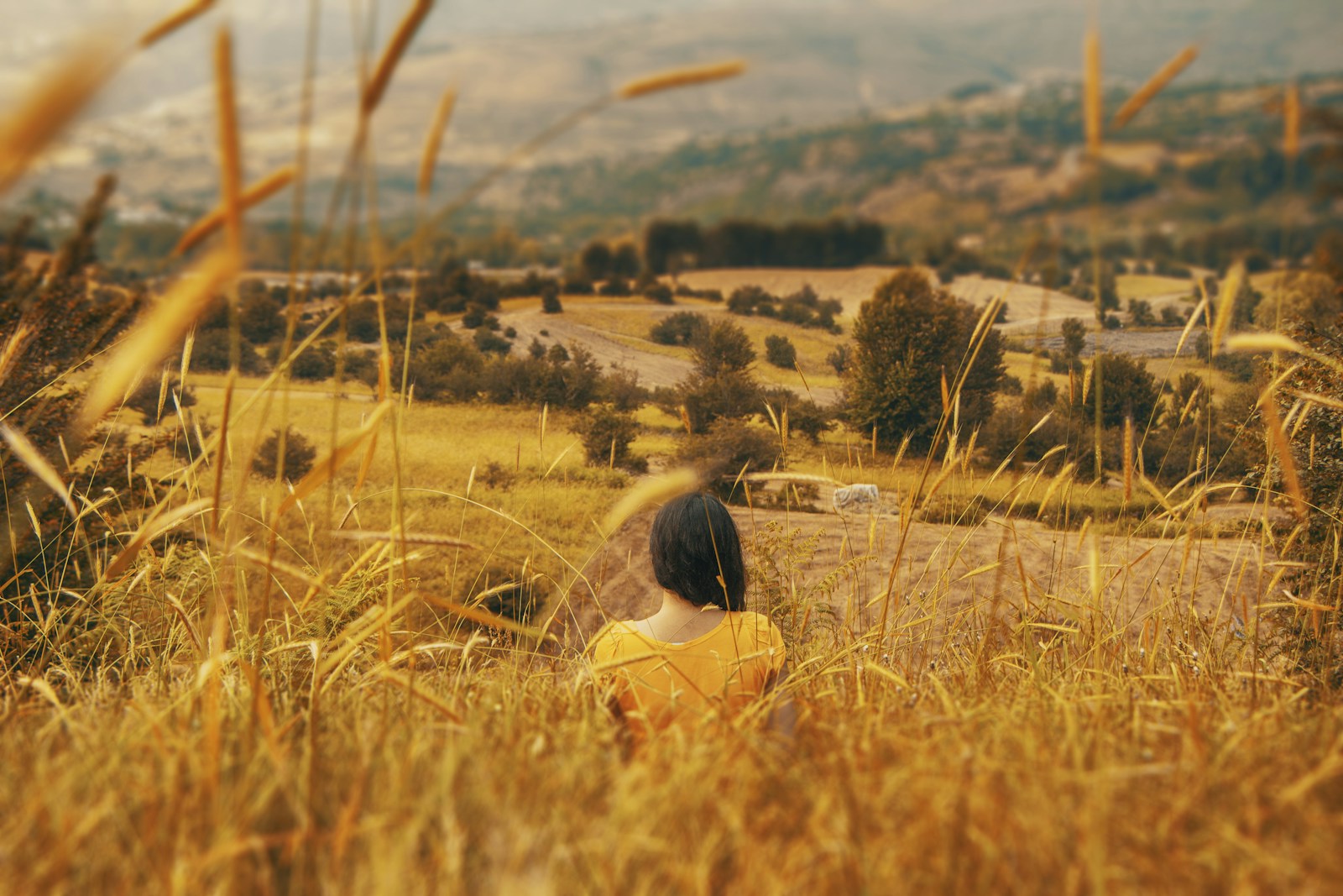What Makes an Open World Feel Alive? The Impact of Player Actions - Game