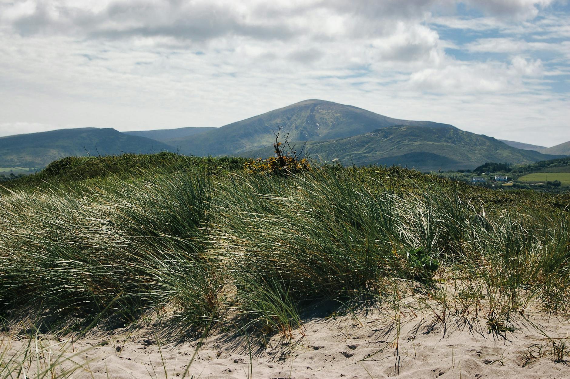 Explore the Wild Side: 3 New British and Irish Series - Cinema