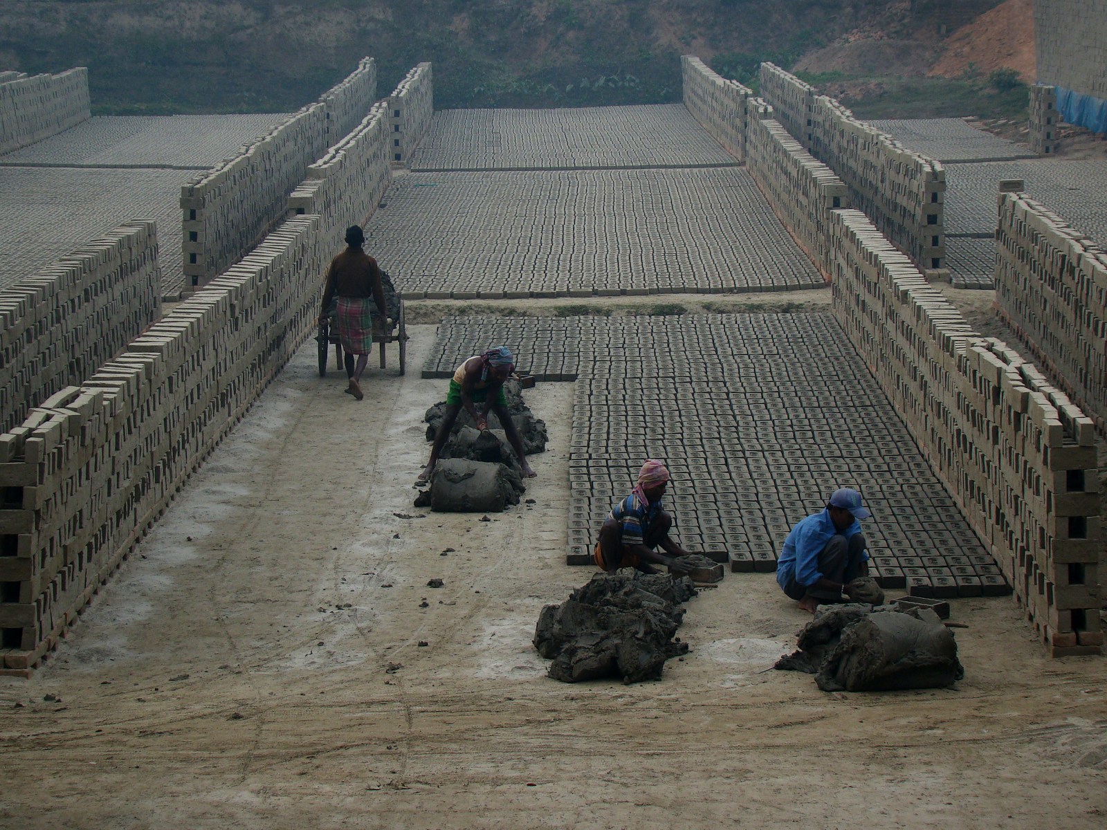 Women Caught Smuggling 68 Turtles Across Chinese Border