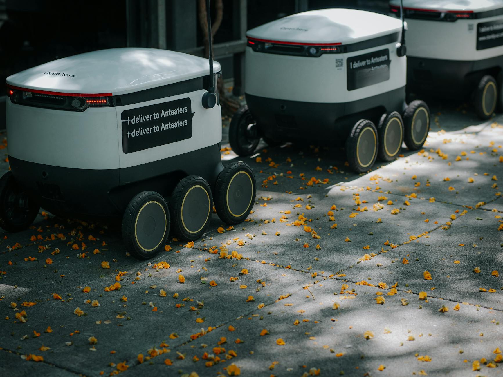 Yandex Launches Delivery Robots in Moscow Region - Tech